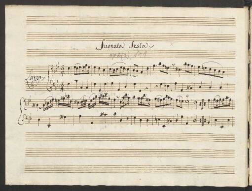 Sonaten; vl, b; g-Moll; CapT 532/33; op.2/1