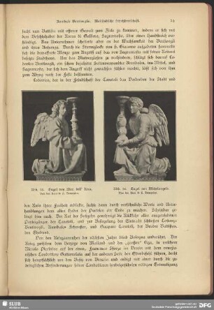 Engel von Michelangelo. Von der Arca di S. Domenico