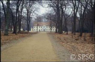 Potsdam, Park Sacrow, Strauchgruppe seitlich der Kastanienallee.