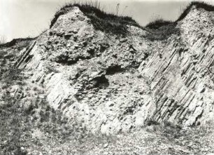Kahlbusch bei Dohna Geologisches Naturdenkmal. Porphyrklippen (Steinbruch) mit sedimentgefüllten Brandungshöhlen des Kreidemeeres (Plenuszone)