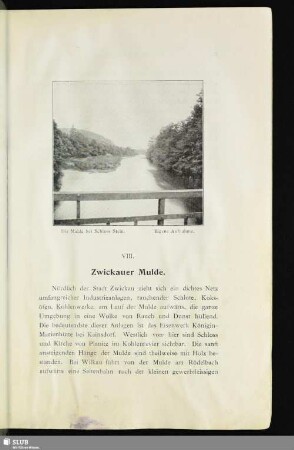 VIII. Zwickauer Mulde