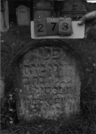 Grabstein 273 (Index: 100107653) Material: heller Sandstein Zustand: stark verwittert und eingesunken, weitgehender Textverlust Maße HxBxT: 64x46x11 cm Beschreibung: Stele, Rundbogenabschluß, Schriftfeld eingetieft Besonderheit: Kindergrab: Grabstein 273