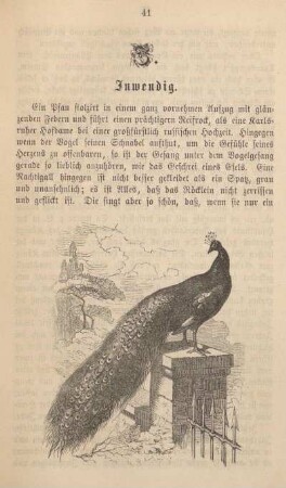 Inwendig.