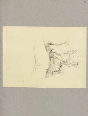 Klebebände, Band 20, Seite 81