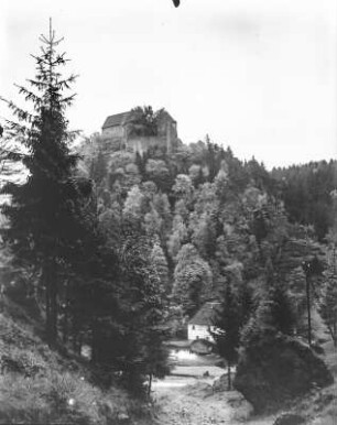 Burg Pottenstein : Pottenstein. Burgberg und Burg Pottenstein. Blick über das Püttlachtal mit Mühle von Nordwesten