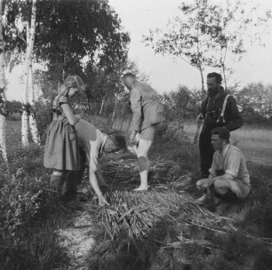 Familienbilder : Rudolf Zimmermann u. a. beim Bau eines Fotoverstecks aus Schilf, Pfingsten 1932