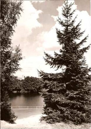 Postkarte, Lagow (Łagów)