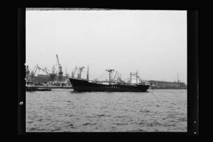 Hein Jenevelt (1966), Hanseatische Reederei E. Offen/Hamburg