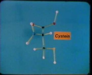 Biochemie - Niedermolekulare Verbindungen X