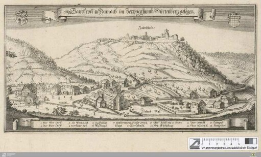 Saurbronn zu Dainach im Hertzogthumb Würtenberg gelegen