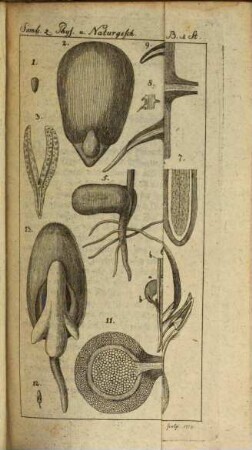Sammlungen zur Physik und Naturgeschichte. 2. 1782