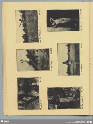 Auf der Waldwiese