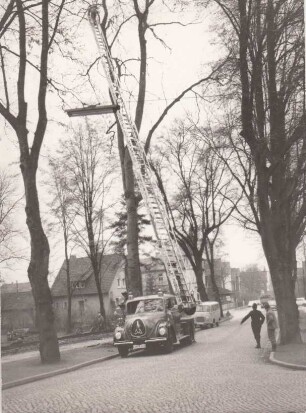 Foto: Einbeck, Teichenweg, Baumschnittarbeiten mit Feuerwehr-Drehleiter