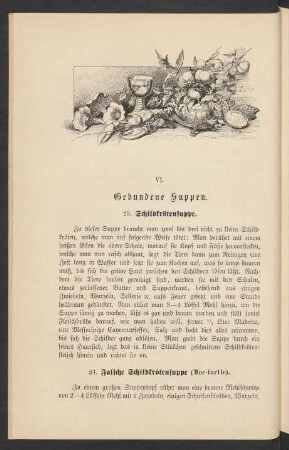 VI. Gebundene Suppen