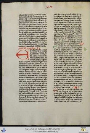 Liber ione prophete