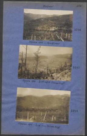 Vogesen 1916 - Blick vom Barrenkopf