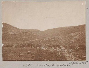 wadi el-medine bei mnehmas. 25. Febr. 1905.