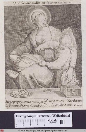Maria mit dem Christuskind und einem Vogelkäfig.