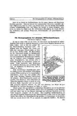 Die Bewegungsform bei einfachen Willenshandlungen