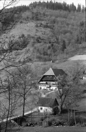 Schramberg-Hornberg: Schwarzwaldhaus an der Straße Schramberg-Hornberg, näher