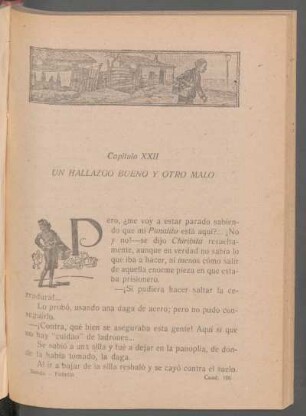 Capítulo XXII - Un hallazgo bueno y otro malo