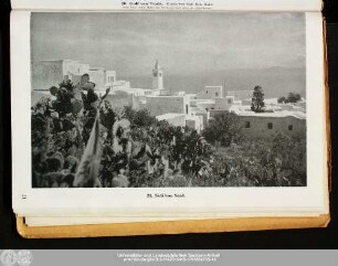 21. Sidi bou Said.