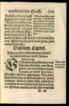 Das lxxxi. Capitel. - Das xc. Capitel.