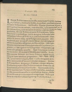 Caput XI. De libro Tobiae.