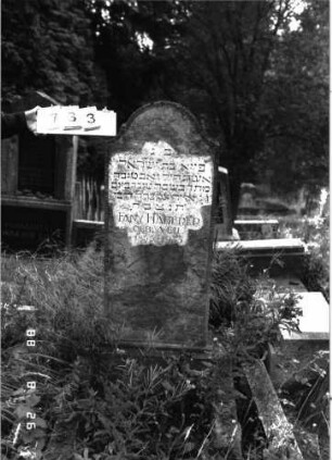 Grabstein 733 (Index: 100099587) Maße HxBxT: 116x51x16 cm: Grabstein 733