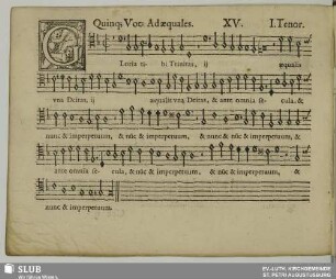 XV. Gloria tibi Trinitas
