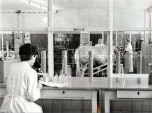 Mikroskopische Spermabeurteilung im Labor am Sprungraum des VEB Besamung Schleiz