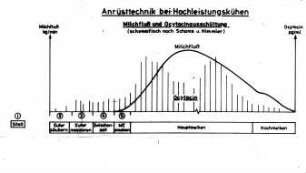 Anrüsttechnik bei Hochleistungskühen