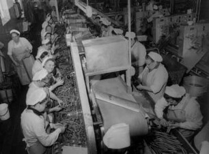 Fleischwarenfabrik Redlefsen in Schleswig-Holstein : Arbeiterinnen in der Fleischwarenfabrik Redlefsen in Schleswig-Holstein. Aufgenommen für die Gewerkschaft Nahrung - Genuss -Gaststätten (NGG) 1967