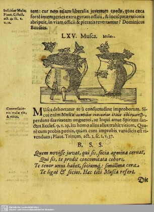 LXV. Musca