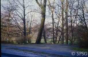 Berlin, Schlossgarten Glienicke, Park mit Straße.