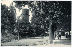 Oschatz. Partie am Stadtturm mit Bismarckdenkmal