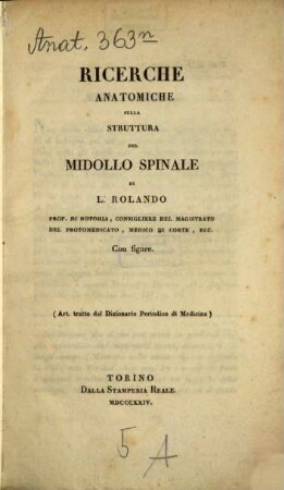 Ricerche anatomiche sulla struttura del midollo spinale