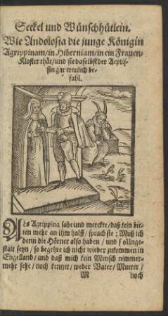 Wie Andolosia die junge Königin Agrippinam/ in Hiberniam/ in ein Frauen-Kloster thät ...