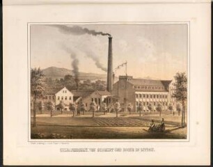 Chemiefabrik von Schmidt und Esche in Zittau