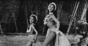 Blume von Hawaii