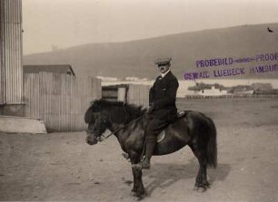 Reykjavik/ Island: Tourist posiert auf einem Pony, im Hintergrund der Hafen
