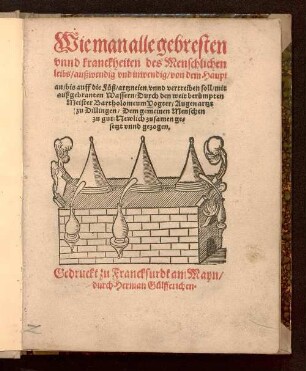 Wie man alle gebresten vnnd kranckheiten des Menschlichen leibs, außwendig und inwendig, von dem Haupt an, bis auff die Füß, artzneien vnnd vertreiben soll, mit ausgebranten Wassern