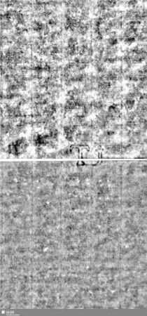 Lilie / Tj = S.3/4+11/12