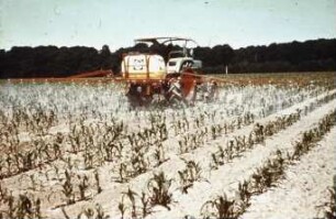 Fotografie: Traktor, Feldspritze angebaut, Mais