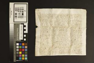 Mainz (Mariengreden): Notariatsinstrument