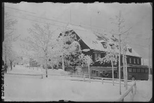 Zinnwald. Sächsischer Reiter im Winter
