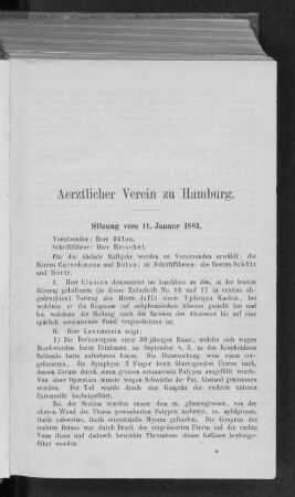 Sitzung vom 11. Januar 1881.
