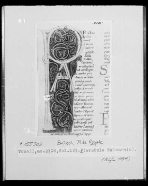 Ms 9108, fol. 123: Initiale P