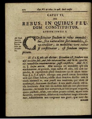 Caput VI. De Rebus, In Quibus Feudum Constituitur.