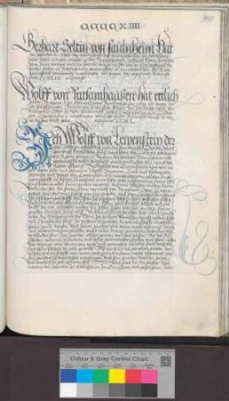 Wolf von Ratsamhausen